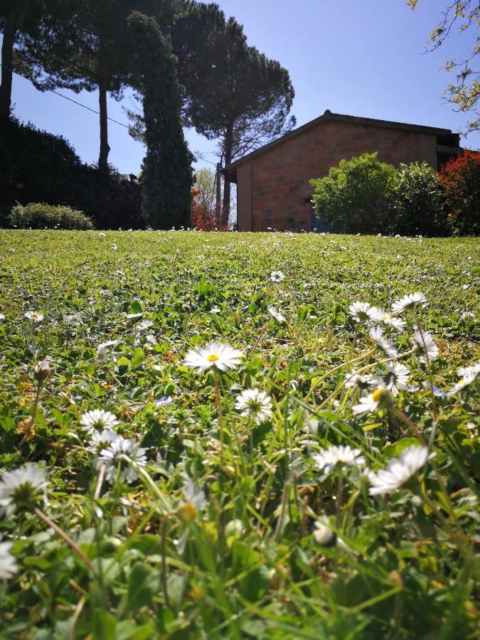 Alloggio Al San Girolamo Longiano Esterno foto